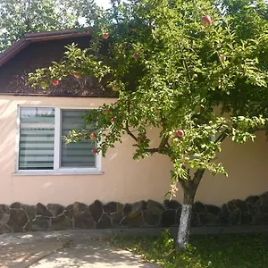 With Kitchen And Garden , Киев Украина